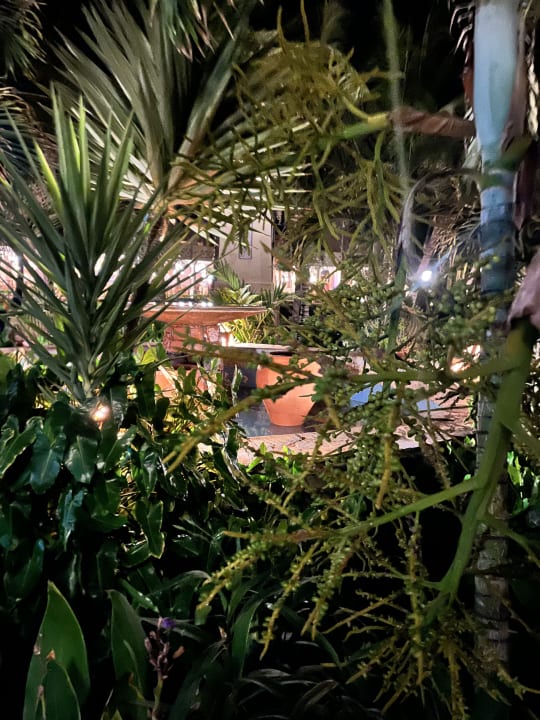 Gartenanlage Hotel Riu Touareg