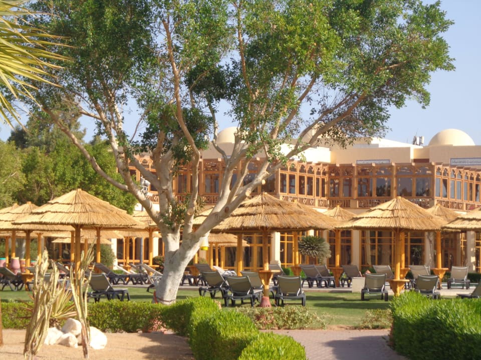 Pool garden and main restaurant terrace  Marriott Hurghada Beach Resort