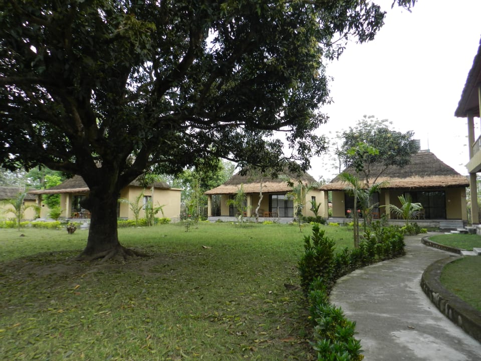 Anlage Into the Wild Eco Resort