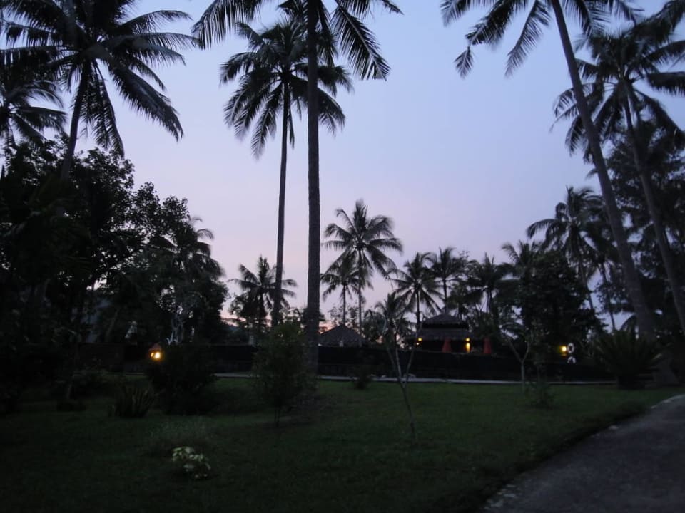 Пальмы на закате Ban Sainai Resort