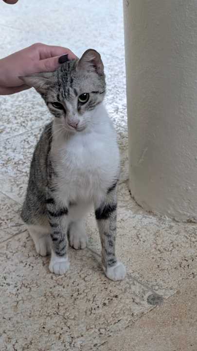 Sonstiges Viva Azteca by Wyndham - All Inclusive Resort