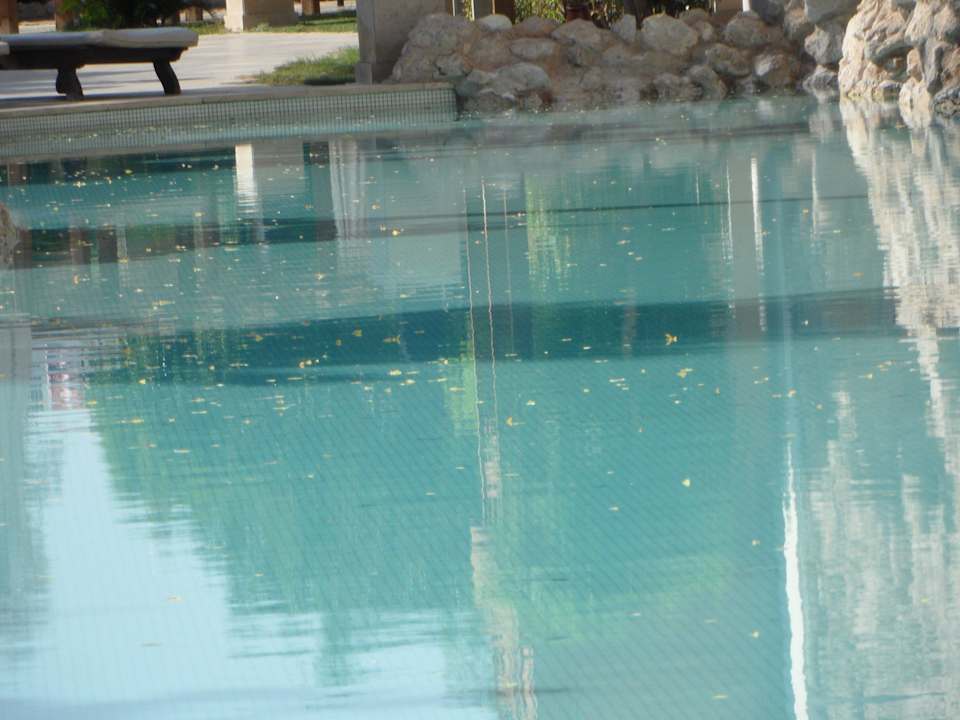 Pool Ghazala Gardens