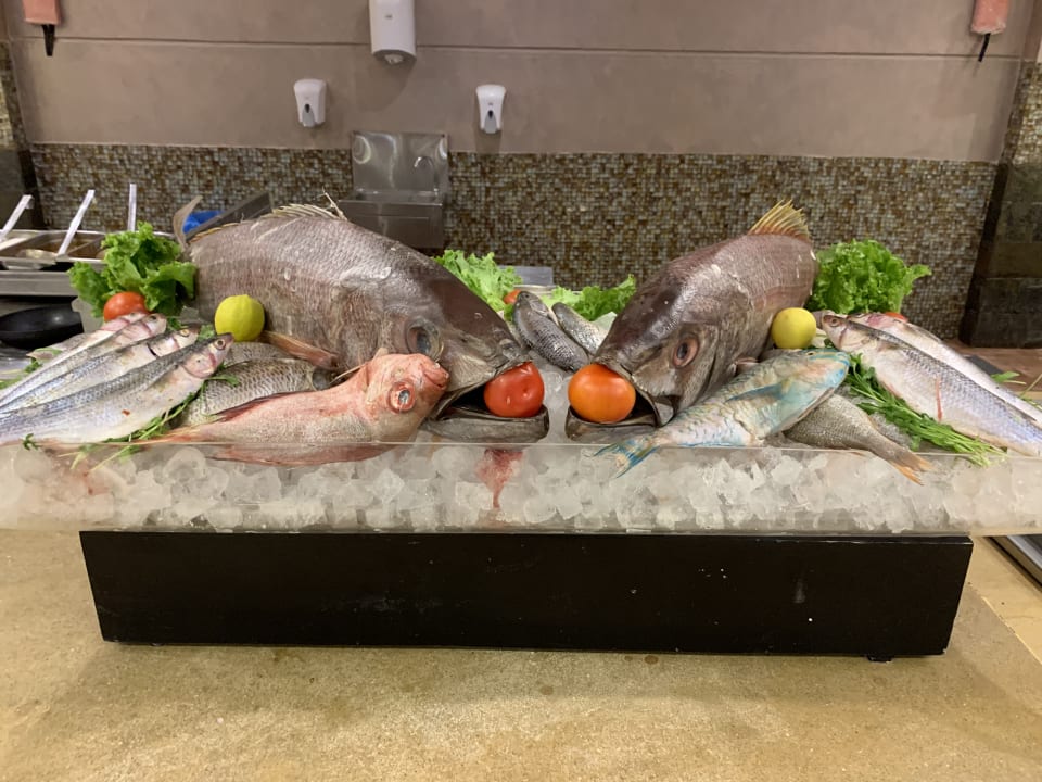 Gastro Tropitel Sahl Hasheesh