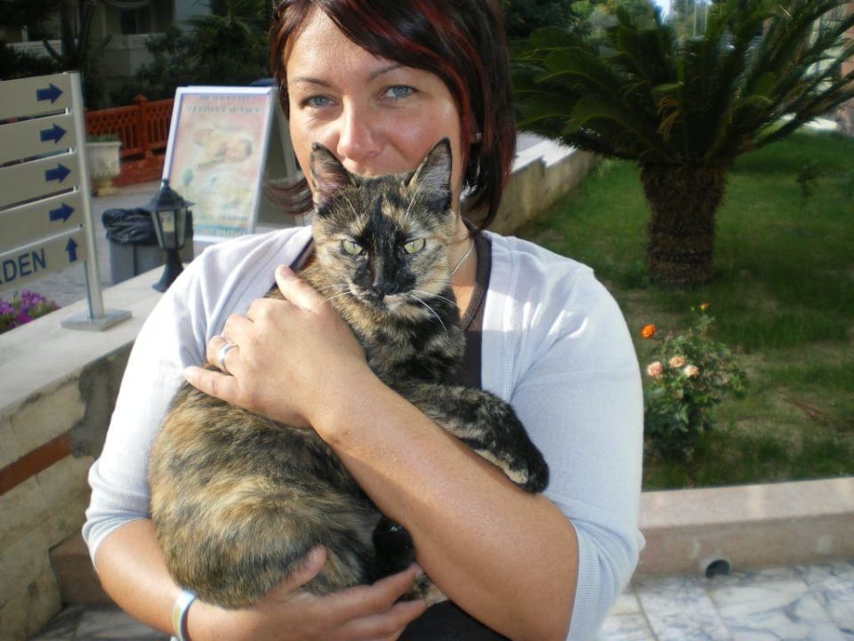 Katze Flecki Hotel Sirma