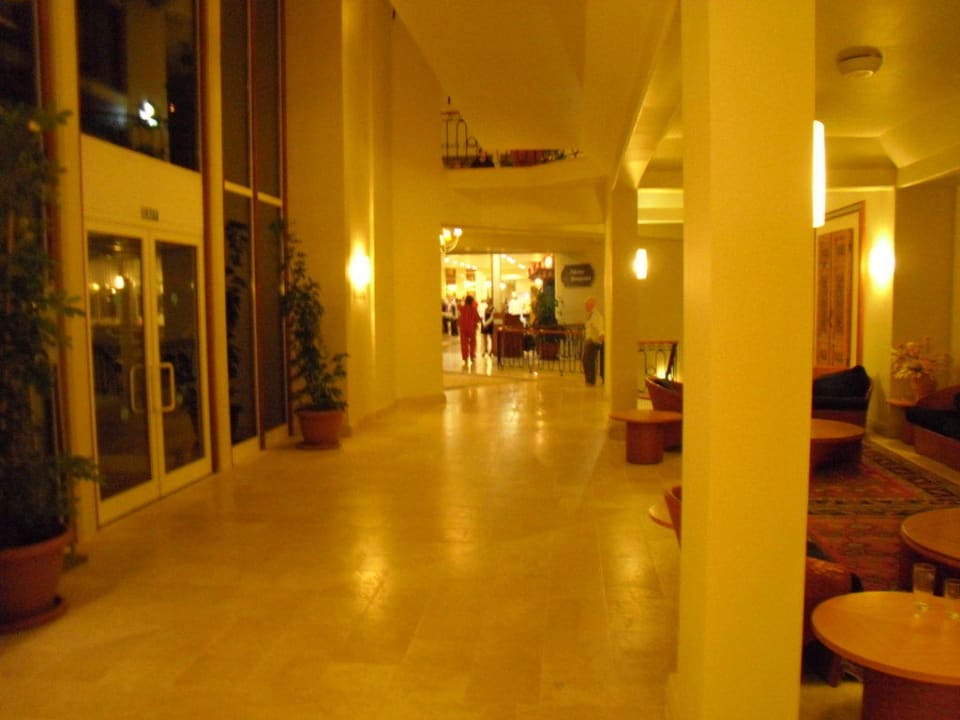 Sentido PALOMA Perissia