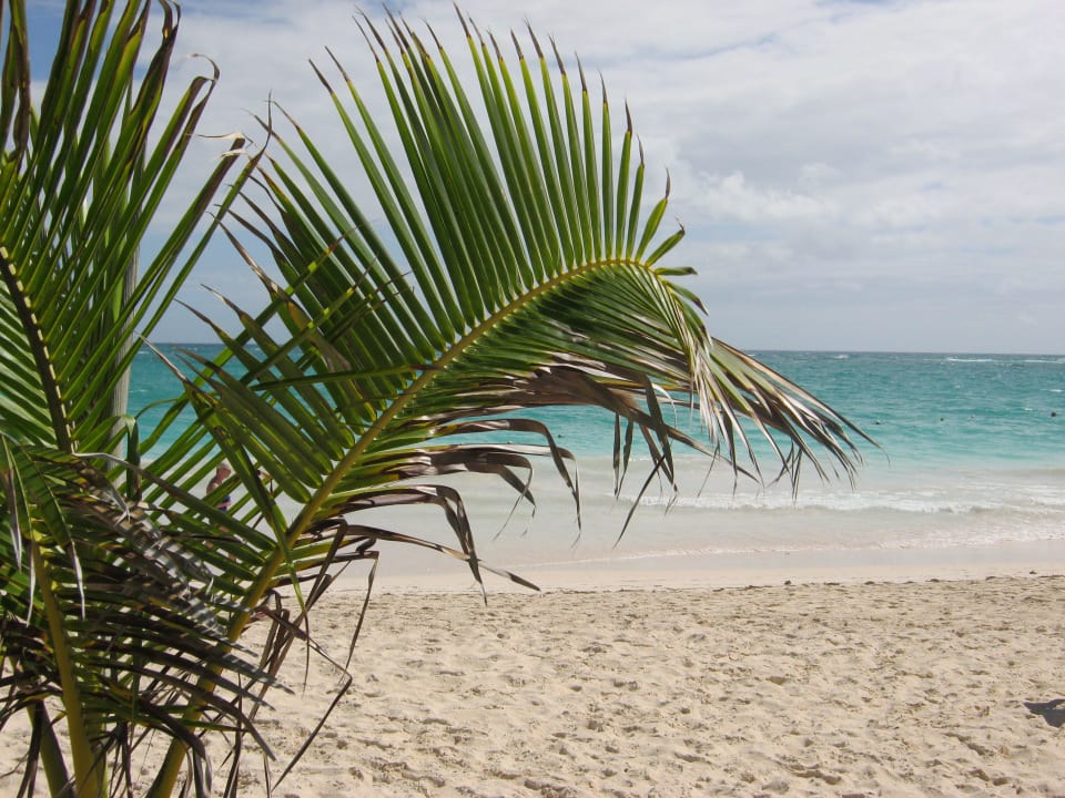 Strand am Morgen, der schönste Abschnitt am Bavaro Grand Palladium Punta Cana Resort & Spa