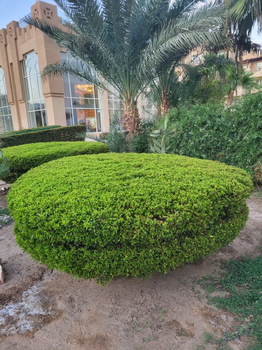 Außenansicht Shams Safaga Resort