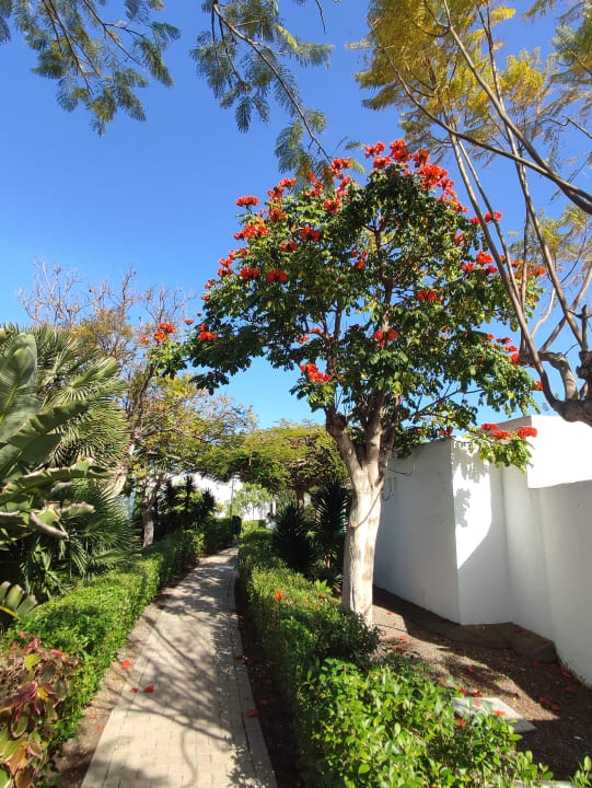 Gartenanlage Bungalows Cordial Sandy Golf