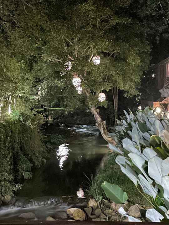 Ausblick Rosewood Luang Prabang