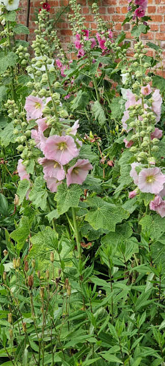 Gartenanlage Pałac i Folwark Galiny