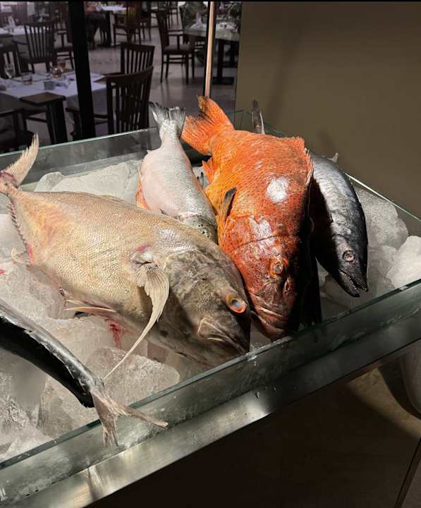 Gastro Steigenberger Resort Alaya Marsa Alam - Red Sea - Adults only