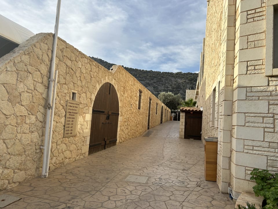 Gartenanlage Cactus Royal