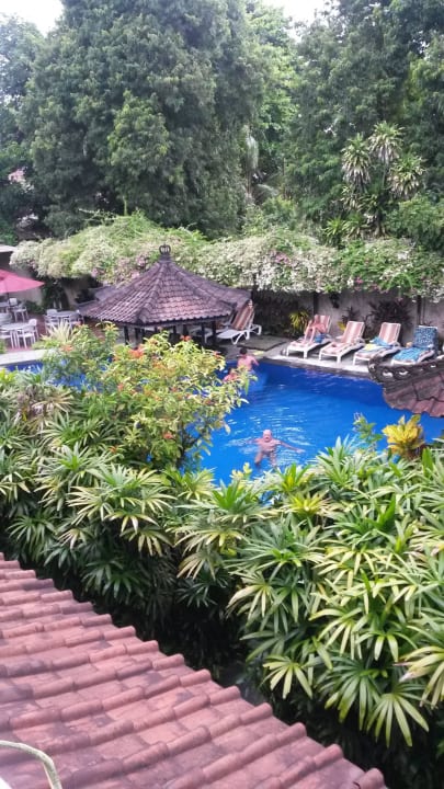 Blick auf Pool Hotel Ari Putri