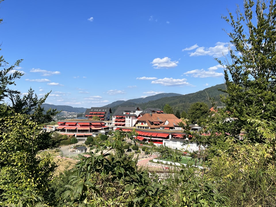 Ausblick Elztalhotel
