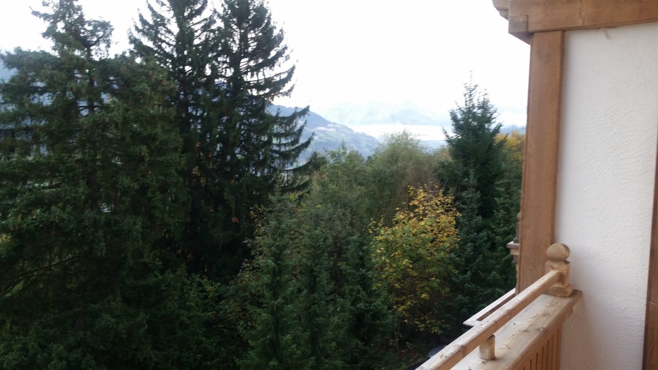 Ausblick vom Balkon (2) Hotel Oberforsthof