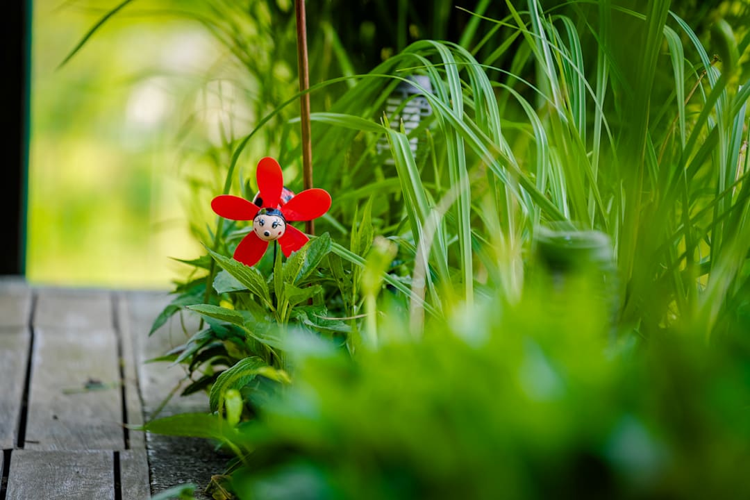 Außenansicht Hotel Berghof Baumgartner