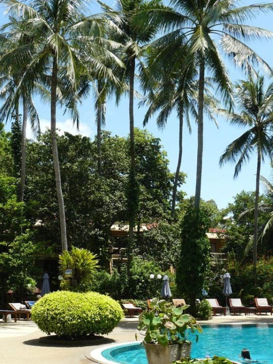 Poolanlage The Fair House Beach Resort