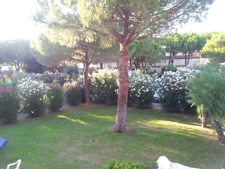 Parkplatzseite Apartments in Marina Di Bibbona