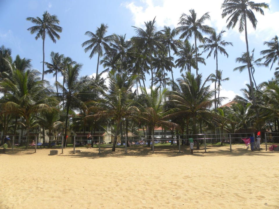 Mit Blick auf Hotellanlage Mermaid Hotel & Club