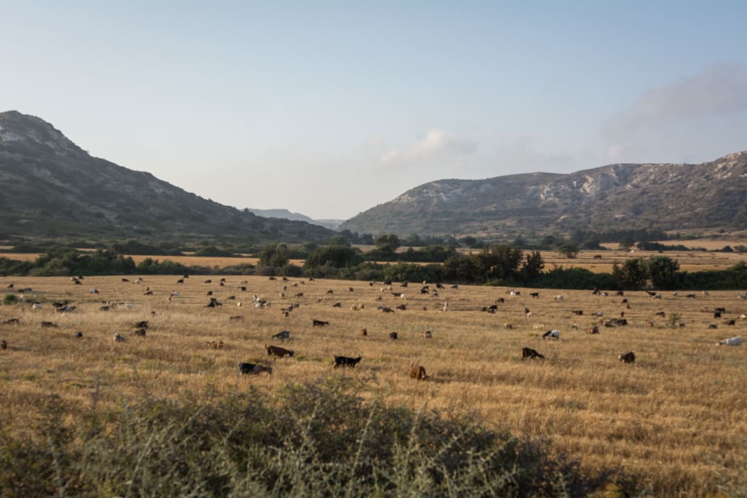 Ausblick Atlantica Belvedere Resort
