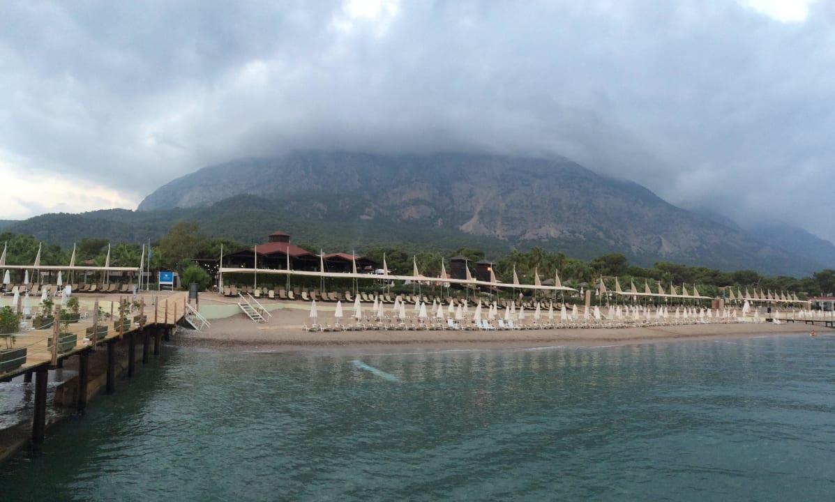 Viel Platz am Strand Crystal Flora Pearl Collection