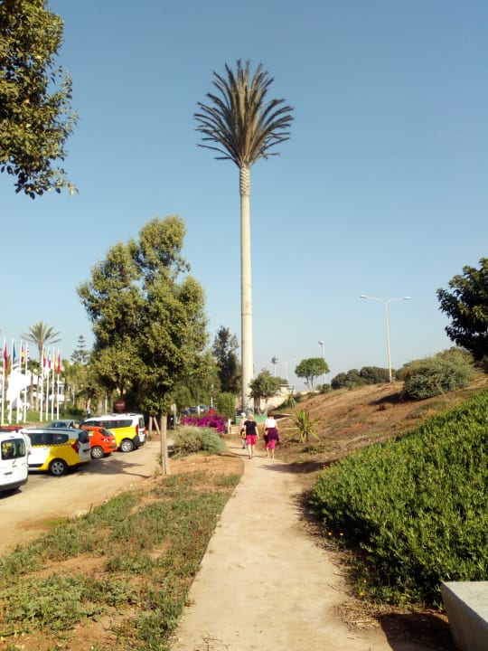 Gartenanlage Atlas Amadil Beach Hotel