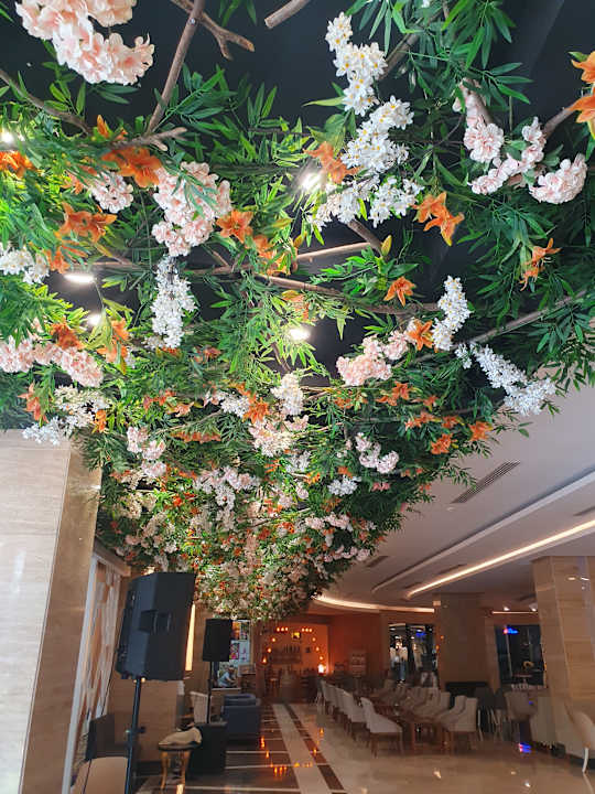 Lobby Dream Family Club