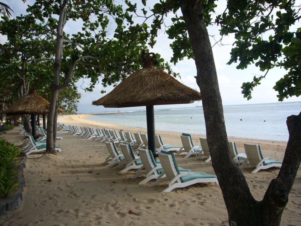 Strand - einsam früh am Morgen The Laguna A Luxury Collection Resort & Spa