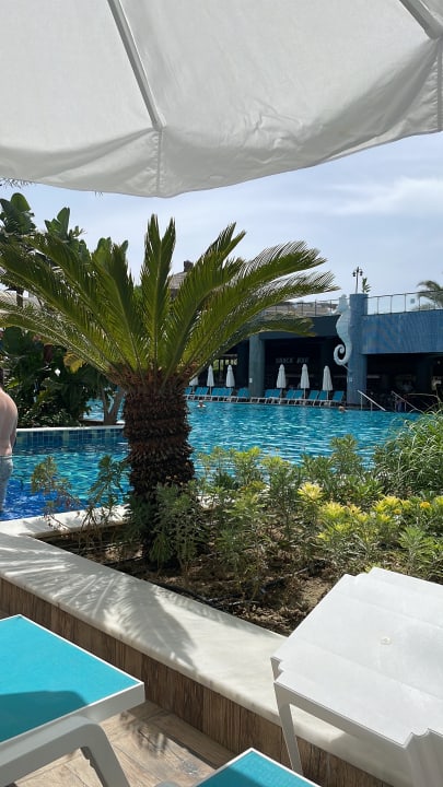 Pool Dream World Palace Hotel