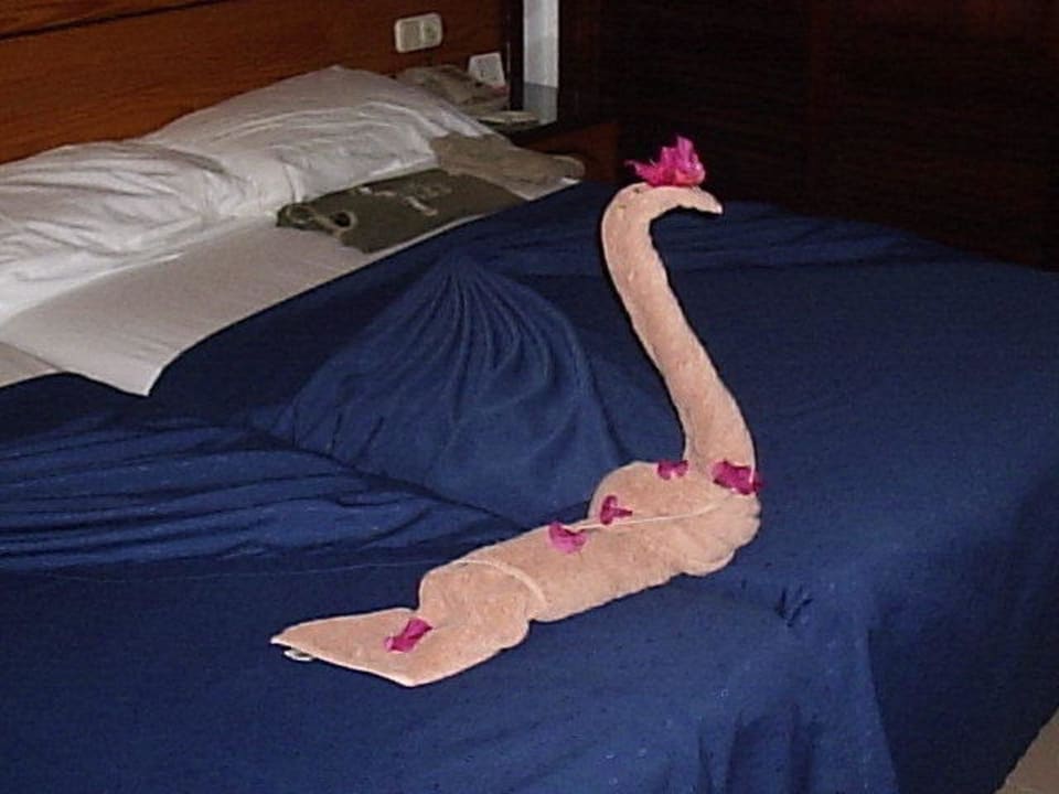 Bett mit Handtuchtier Playabachata Hotel