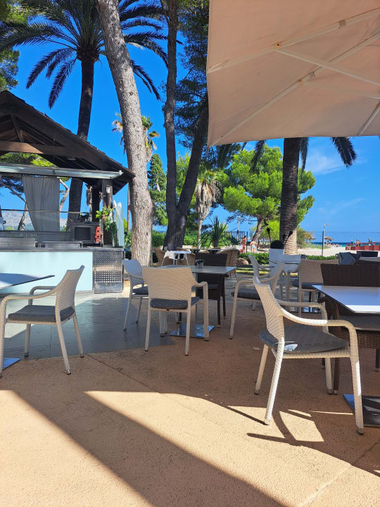 Gartenanlage allsun App.-Hotel Orquidea Playa