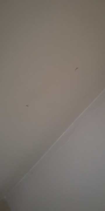 Zimmer Hotel Bentley