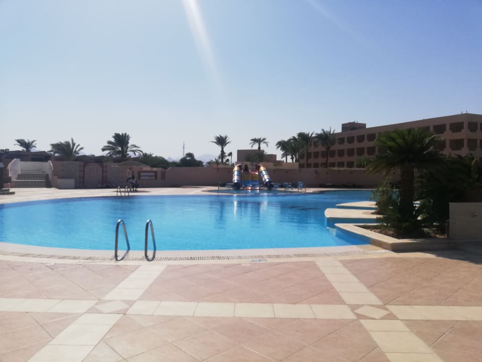 Pool Eagles Paradise Abu Soma