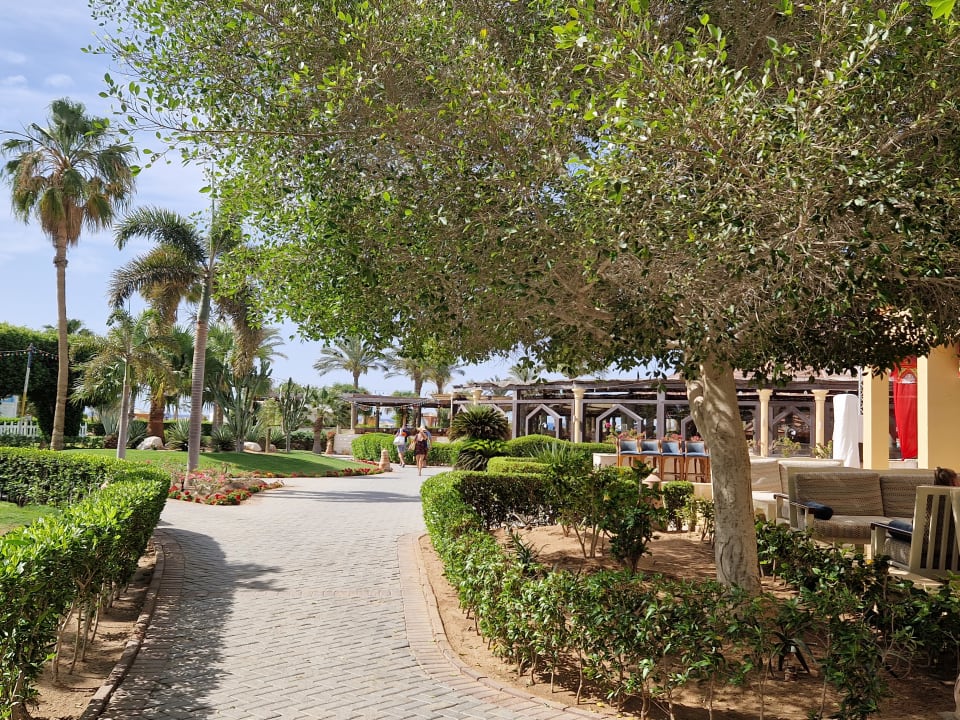 Gartenanlage ROBINSON SOMA BAY