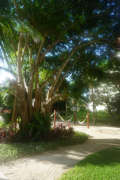 Gartenanlage Akumal Bay Beach & Wellness Resort