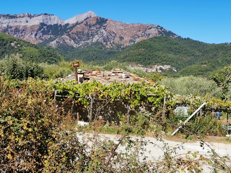 Ausblick Alexandra Golden Boutique - Adults only