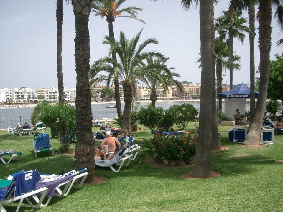 Ein Teil von einer Panoramaserie Alcudiamar Marina Residence