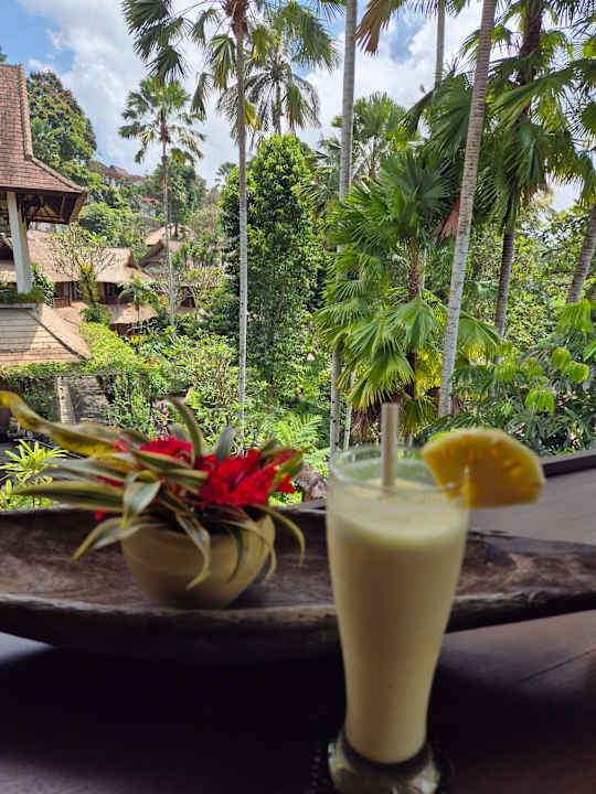 Ausblick Hotel Tjampuhan