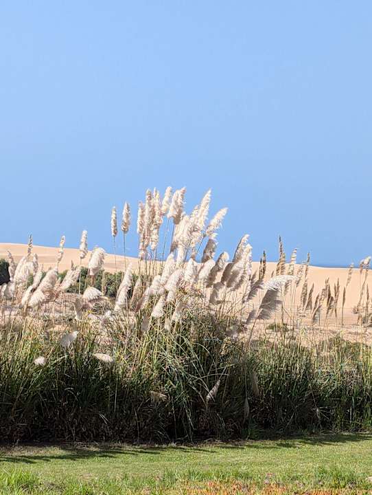 Gartenanlage ROBINSON AGADIR