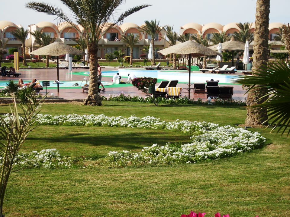 Pool und Garten Three Corners Sea Beach Resort