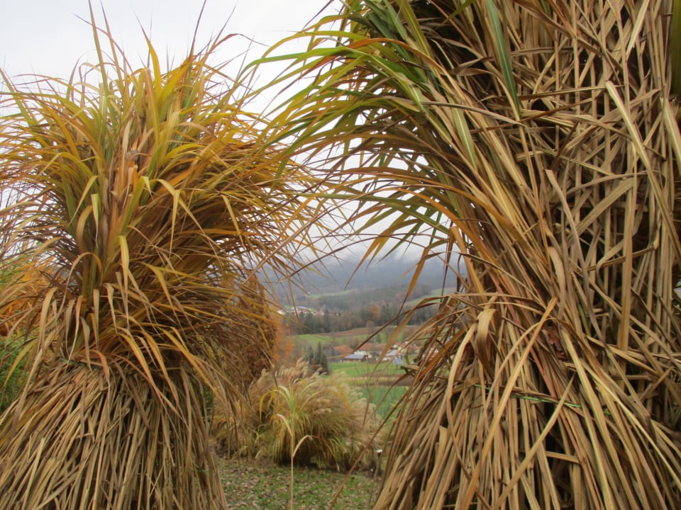 Ausblick Spirit & SPA Hotel Birkenhof am Elfenhain