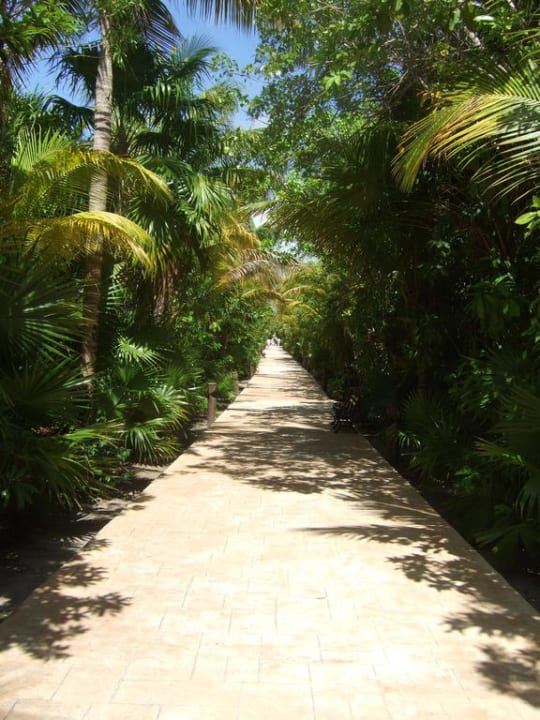 Weg vom Zimmer zur Lobby Catalonia Playa Maroma