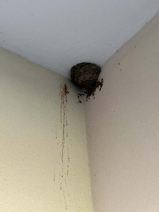 Zimmer Aqua Fantasy Aquapark Hotel & Spa