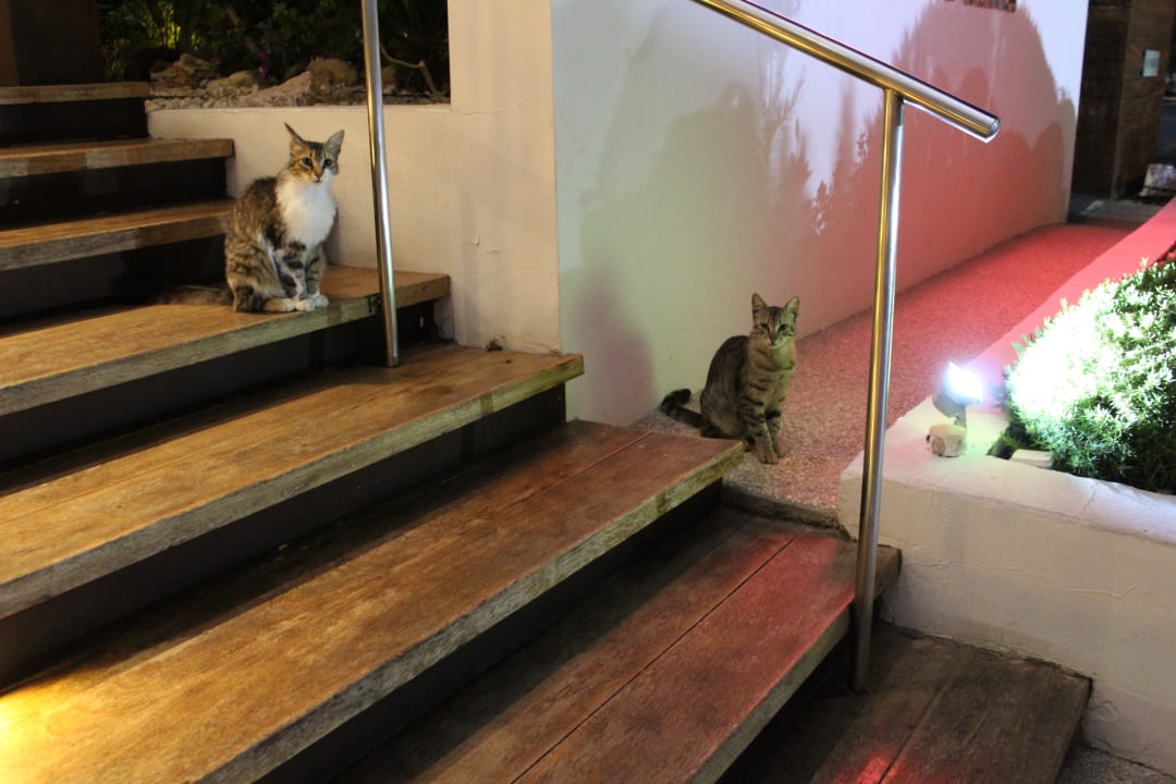 Sonstiges Napa Mermaid Hotel & Suites