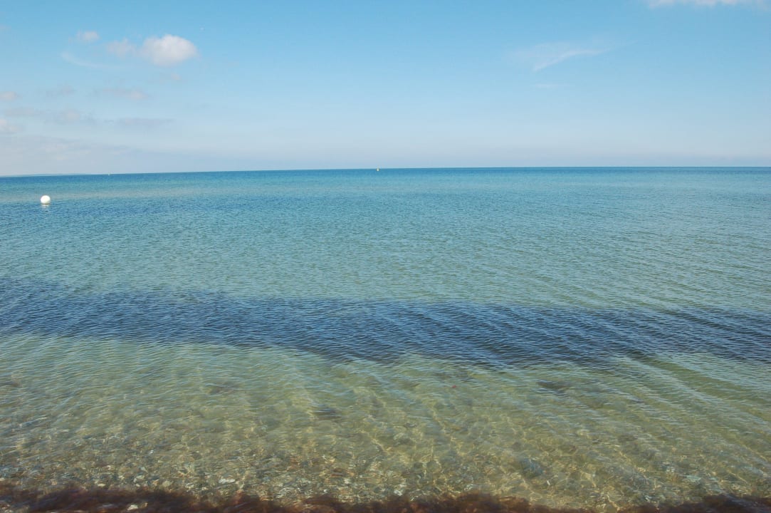 Schönstes Ostseewasser Ferienwohnungen Ferienpark Weissenhäuser Strand