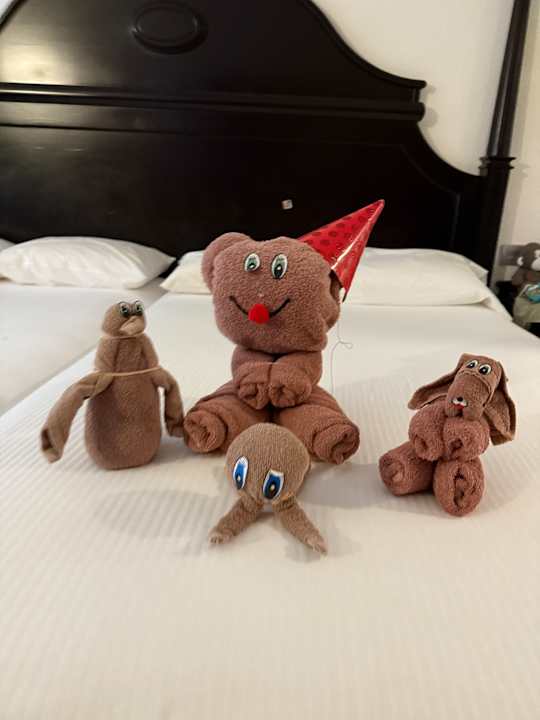 Zimmer Hotel Riu Tequila