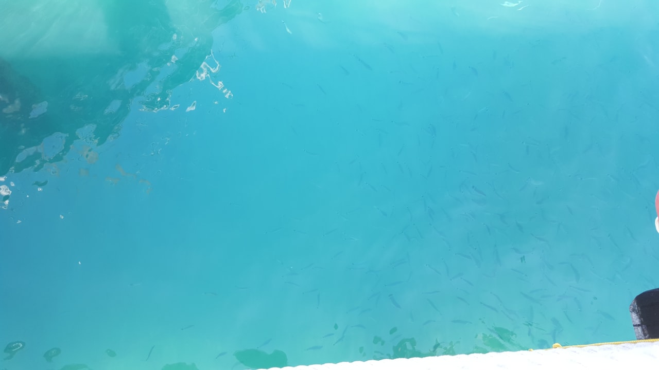 Strand Sueno Hotels Beach Side