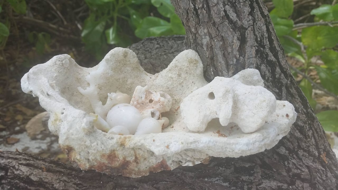 Fundstücke Adaaran Select Hudhuran Fushi - Premium All Inclusive