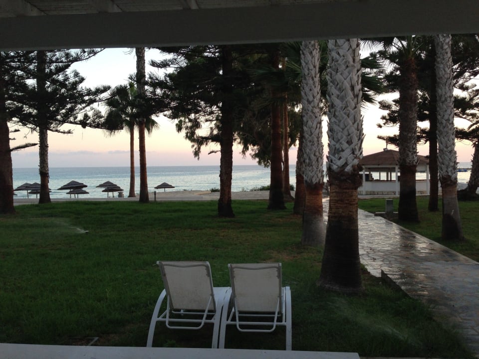 Beachsuite Terrasse Hotel Nissi Beach Resort