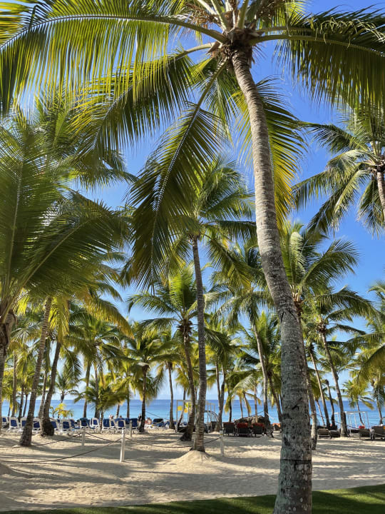 Ausblick Hotel Viva Dominicus Palace by Wyndham-All Inclusive Resort